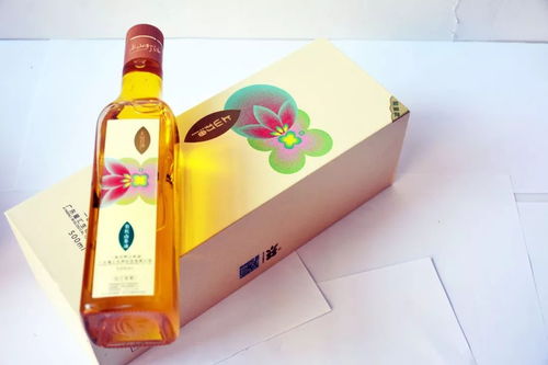 河源有禮旅游商品大賽決賽在即，多款創(chuàng)意產(chǎn)品或成獎(jiǎng)項(xiàng)黑馬